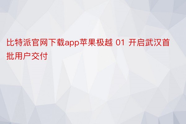 比特派官网下载app苹果极越 01 开启武汉首批用户交付