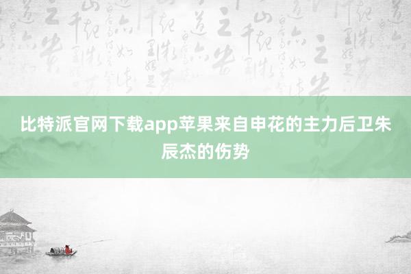 比特派官网下载app苹果来自申花的主力后卫朱辰杰的伤势